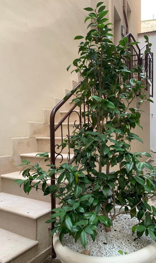 Appartamento Camelia Palo del Colle Exterior foto